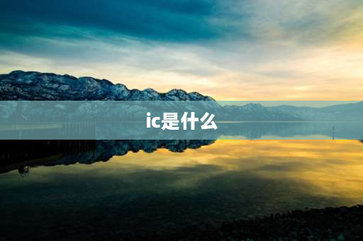 ic是什么 ic是什么？