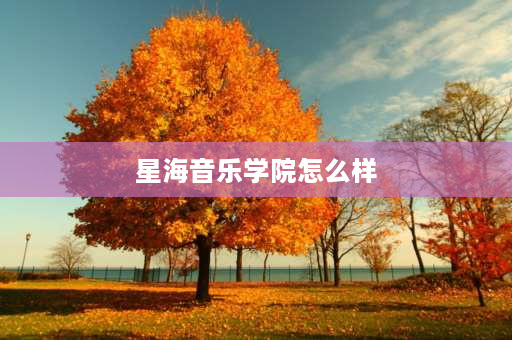 星海音乐学院怎么样 星海音乐学院怎么样？