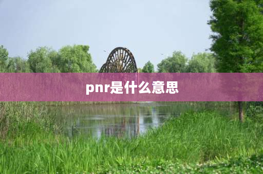 pnr是什么意思 机票记录里出出UN是什么意思？