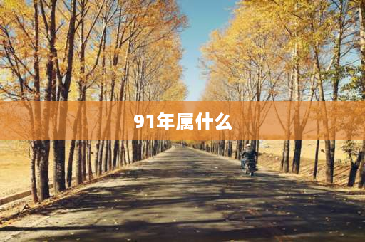 91年属什么 91-99年分别属什么属相？