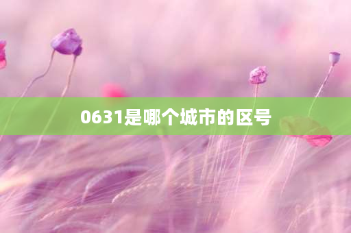 0631是哪个城市的区号 25是山东省的哪个城市的区号？急？