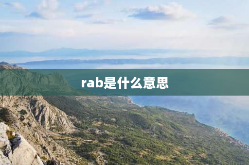 rab是什么意思 rab什么意思？