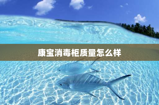 康宝消毒柜质量怎么样 康宝消毒柜质量怎么样？