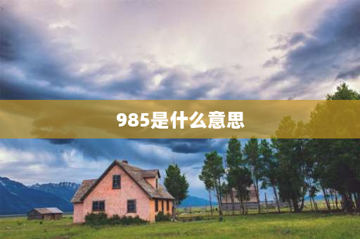 985是什么意思 985是什么意思网络词？