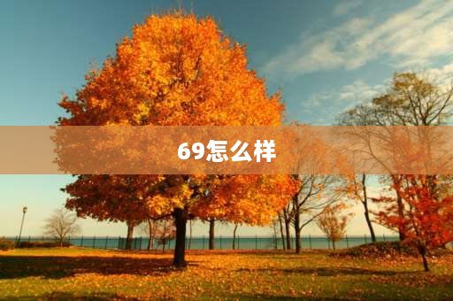 69怎么样 巅峰极速福特69怎么样？