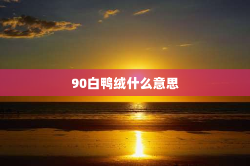 90白鸭绒什么意思 90%白鸭绒优点？