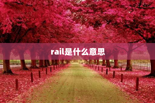 rail是什么意思 subway和rail的区别？