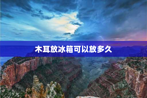 木耳放冰箱可以放多久 木耳放冰箱可以放多久？