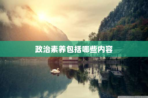 政治素养包括哪些内容 政治引领包括哪些内容？