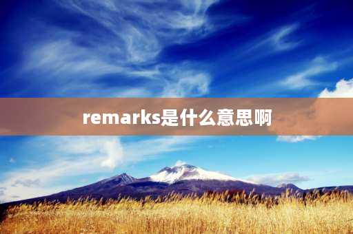 remarks是什么意思啊 贸易REMARK是什么意思？