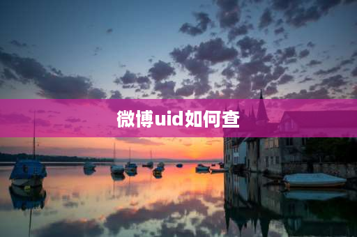 微博uid如何查 uid提取方法？