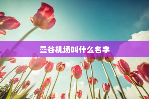 曼谷机场叫什么名字 曼谷机场有多大面积？