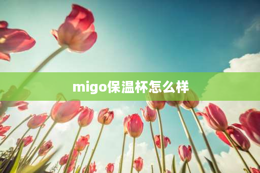 migo保温杯怎么样 migo保温杯档次？