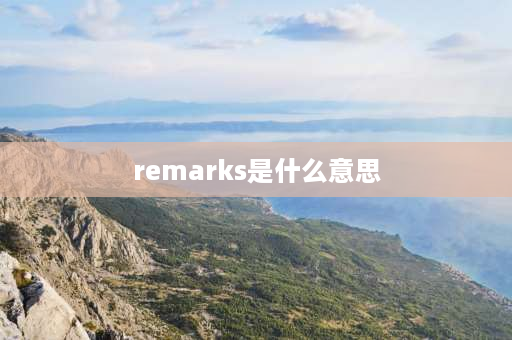 remarks是什么意思 utterance与remarks的区别？