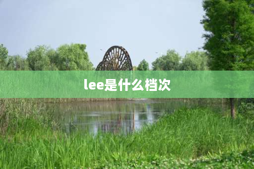 lee是什么档次 李维斯和LEE的牛仔裤哪个档次高？