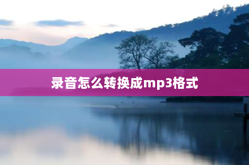 录音怎么转换成mp3格式 如何把m4a录音改成mp4文件？