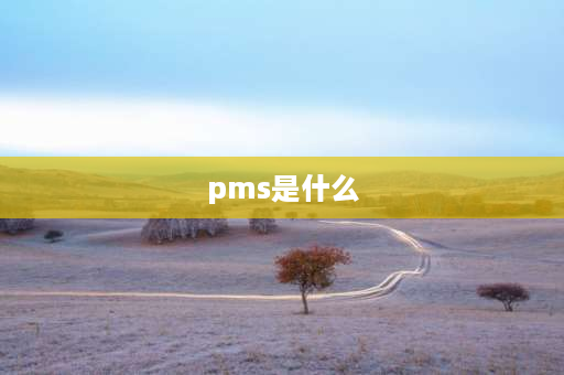 pms是什么 pms什么意思？