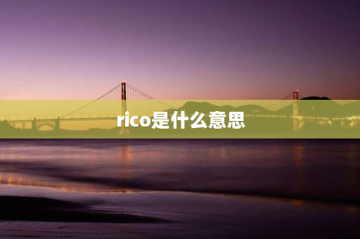 rico是什么意思 ricoh打印机p灯亮是怎么回事？