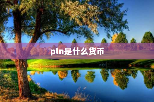 pln是什么货币 各国货币字母符号缩写？