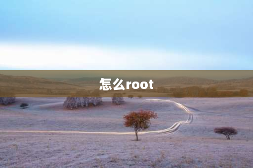 怎么root vivo手机怎么root？