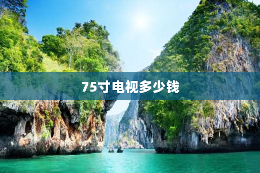 75寸电视多少钱 索尼原装进口75寸电视价格多少？