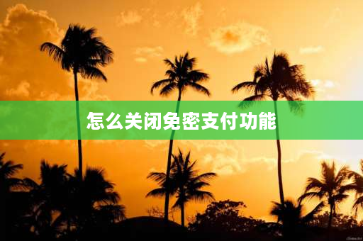 怎么关闭免密支付功能 怎样关闭所有免密支付？