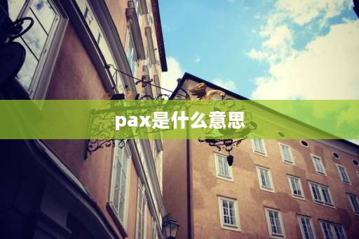 pax是什么意思 什么叫质押币？