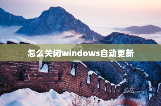 怎么关闭windows自动更新 thinkbook14如何关闭系统更新？