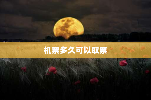 机票多久可以取票 网上订机票什么时候可以取票？