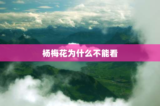 杨梅花为什么不能看 糖水杨梅发酵了还能喝吗？