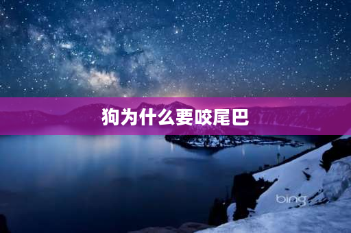 狗为什么要咬尾巴 为什么我家的狗狗经常咬自己的尾巴？都咬破了但还是再咬？