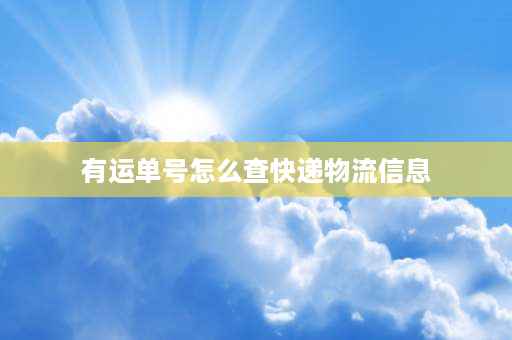 有运单号怎么查快递物流信息 只有快递单号怎么查快递？