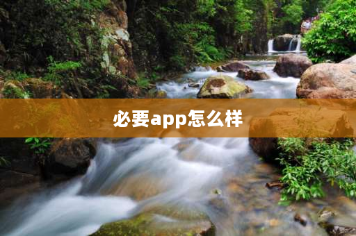 必要app怎么样 九号app到期还有必要续费吗？