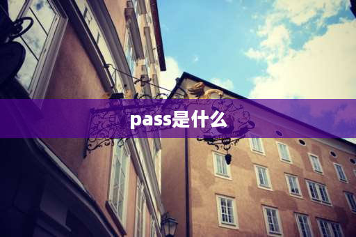 pass是什么 pass中文是什么意思？