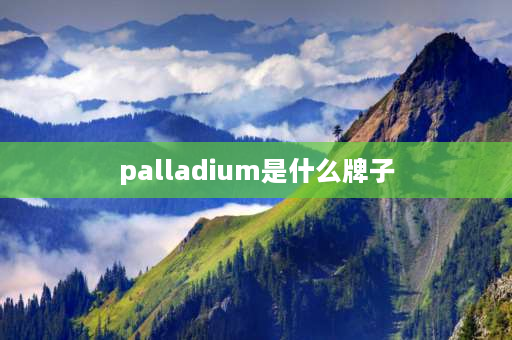 palladium是什么牌子 叉叉人是什么品牌？