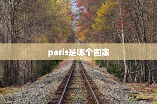 paris是哪个国家 NYC、LON、PAR、TYO分别是什么国家的缩写？中国的缩写是什么？