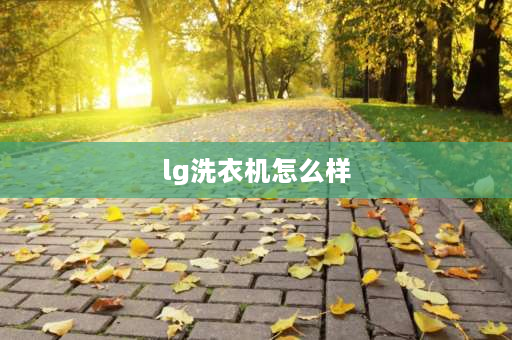 lg洗衣机怎么样 lg洗衣机是什么档次？