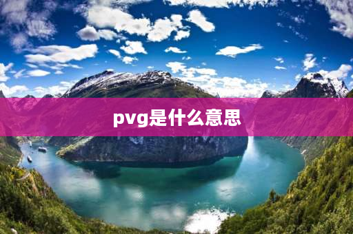 pvg是什么意思 PVG空运口岸什么意思？