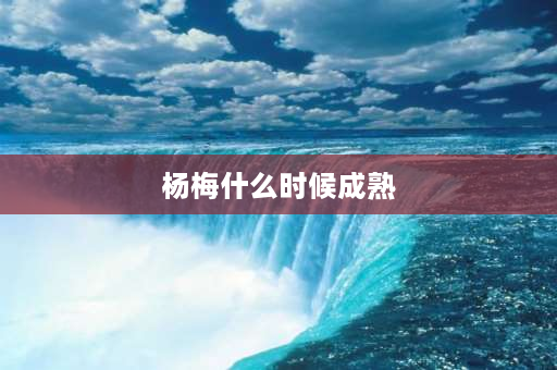 杨梅什么时候成熟 杨梅的不同成熟时间是哪些？