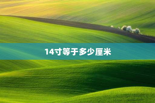 14寸等于多少厘米 14寸是多少公分？