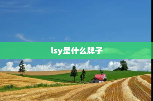 lsy是什么牌子 lsy什么意思啊？