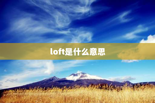 loft是什么意思 LOFT是什么意思？