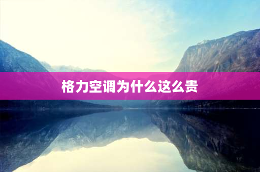 格力空调为什么这么贵 为什么格力空调比小米贵？