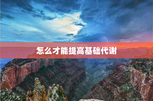 怎么才能提高基础代谢 如何提高基础代谢？