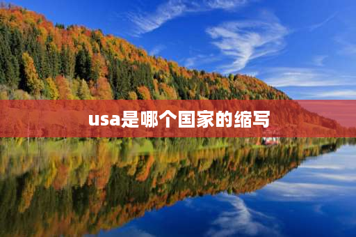 usa是哪个国家的缩写 USA是哪个国家的缩写？