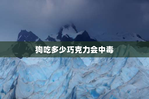 狗吃多少巧克力会中毒 狗为什么不能吃巧克力狗吃巧克力会死吗？