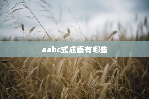 aabc式成语有哪些 AABC词语？