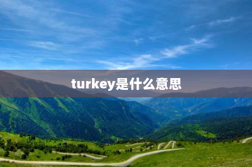 turkey是什么意思 Turkey可数？