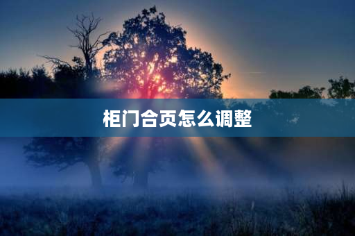 柜门合页怎么调整 柜门铰链调节方法是什么？