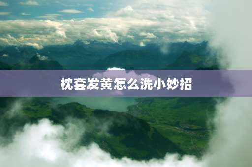 枕套发黄怎么洗小妙招 枕套发黄84消毒液能泡吗